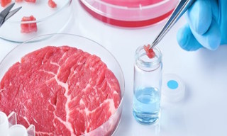 Лабораторный анализ пищевых продуктов по СанПиН в Чусовой в октябре