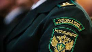 Подготовка к проверке Росприроднадзора в Чусовой от ПромМир-Чсв, стоимость услуги от 20896 руб.